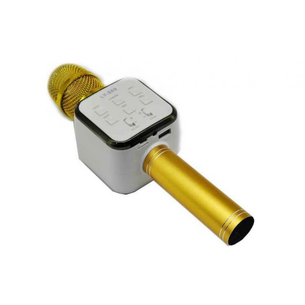 Ασύρματο Bluetooth μικρόφωνο Hi-Fi Speaker LY-889 - Χρυσό - C1218