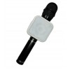 Ασύρματο Bluetooth μικρόφωνο Hi-Fi Speaker LY-889 - Μαύρο - C1220